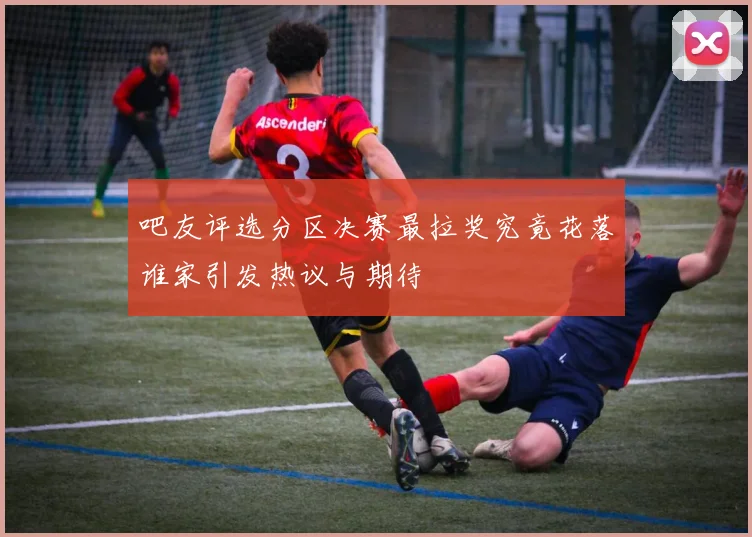 吧友评选分区决赛最拉奖究竟花落谁家引发热议与期待